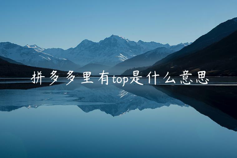 拼多多里有top是什么意思